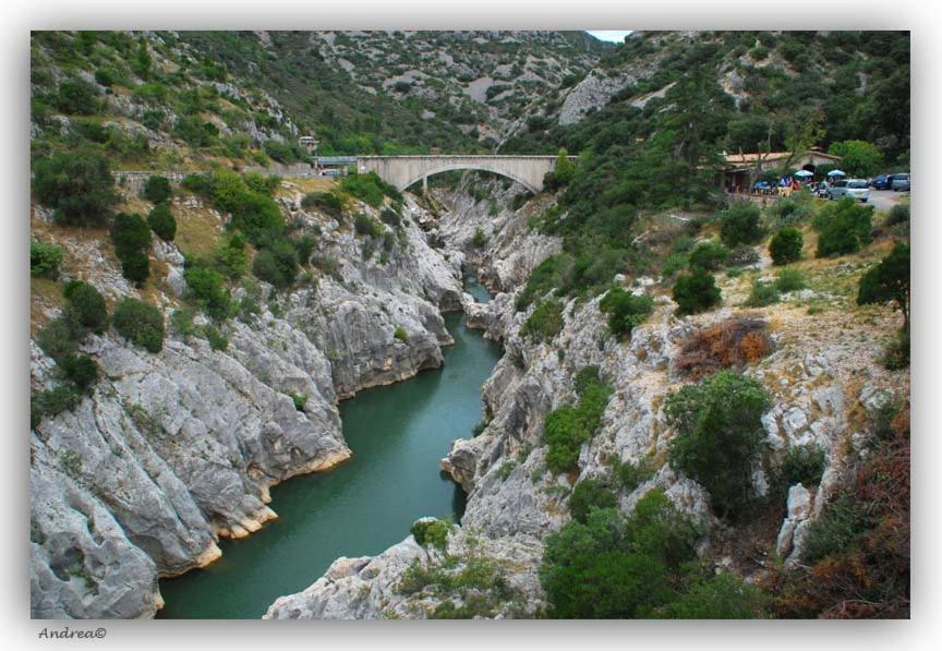 Magnifique Villa Typique Du Sud Avec Piscine Privee Et Jardin Mediterraneen Saint-Vincent-de-Barbeyrargues Bagian luar foto