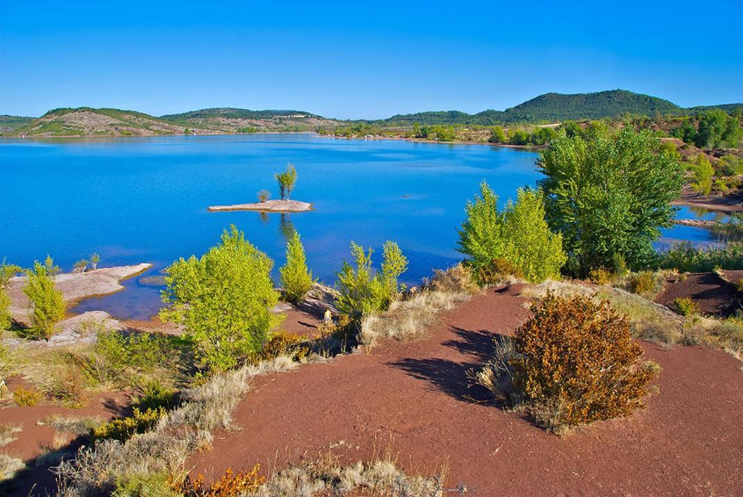 Magnifique Villa Typique Du Sud Avec Piscine Privee Et Jardin Mediterraneen Saint-Vincent-de-Barbeyrargues Bagian luar foto